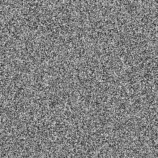 https://www.xnpu.top/wp-content/uploads/2025/09/true_random_bw-1.png